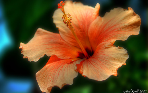 494754 (a): :2560x1600